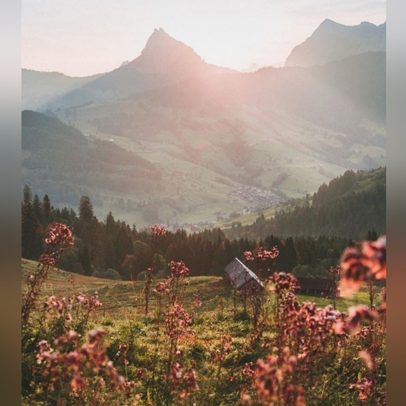 Meet your Posher, Liz - Picture 7 of 13